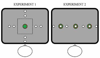 Flexible Visuomotor Associations in <mark class="highlighted">Touchscreen</mark> Control